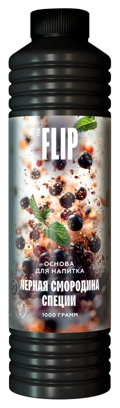 Основа для напитков FLIP «Чёрная смородина – специи»